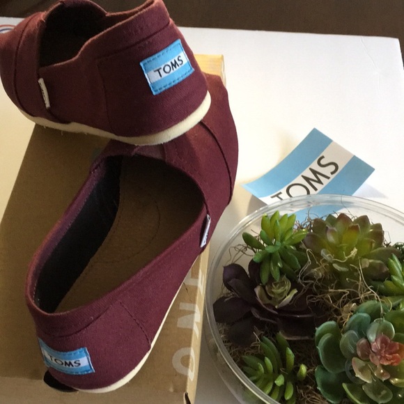 Toms Shoes - Toms Shoes Burgundy